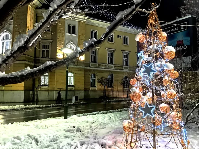 Bed & Breakfast Grad