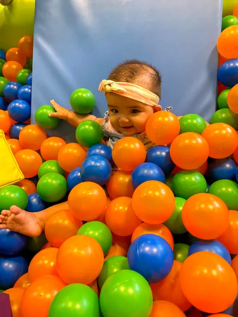 The Jungle Party House