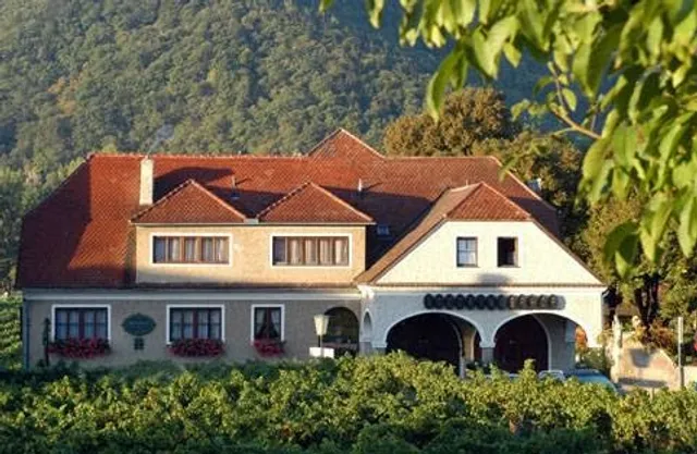 Weingut-Pension Stockingerhof