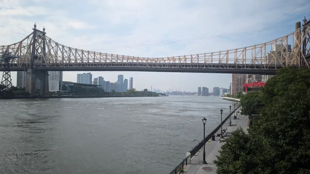 Andrew Haswell Green Dog Park