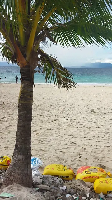 Magic's Place Beach Resort - Basdako Moalboal