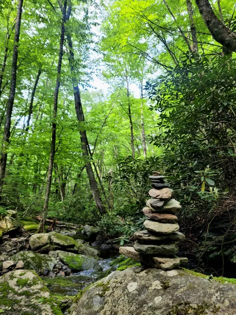 Grandfather Mtn State Park Profile Trail