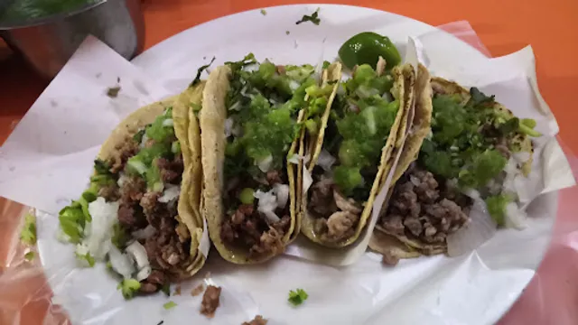 tacos el colorado