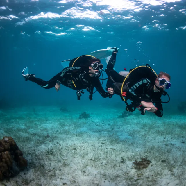 Mango Dive & Bungalow