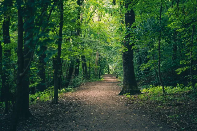 Wall ruins castle Kaiserberg