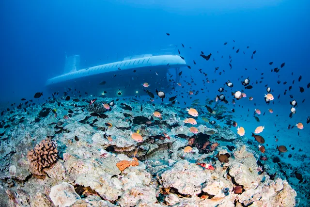 Atlantis Submarines Maui