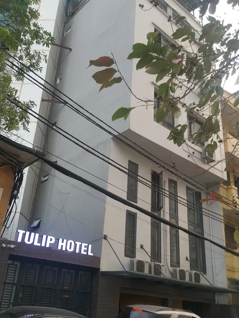 Tulip Hotel