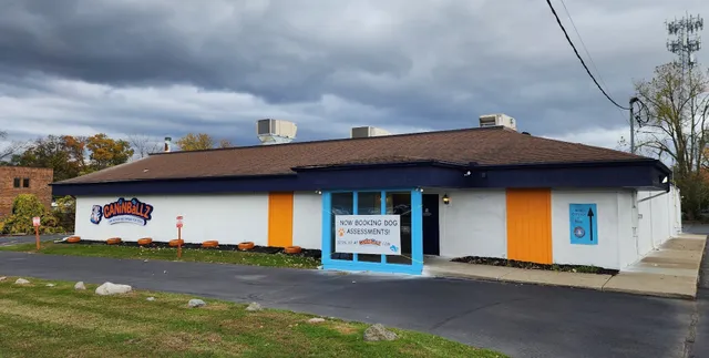 Caninballz Indoor Dog Waterpark