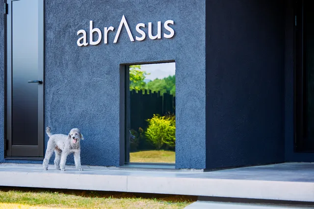 abrAsus house Fuji - アブラサスハウス 富士河口湖