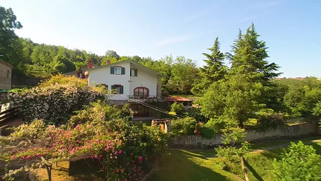 The Hug of Nature - Apartments