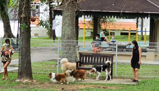 Dog Run at Kembangan