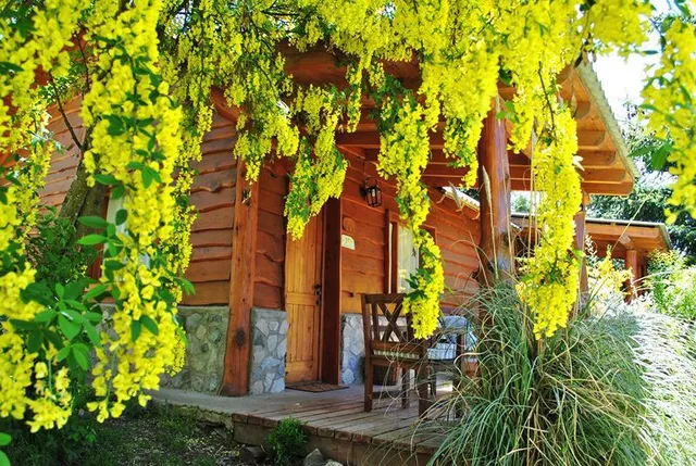 Eluney - cabañas sobre costa del Lago Traful