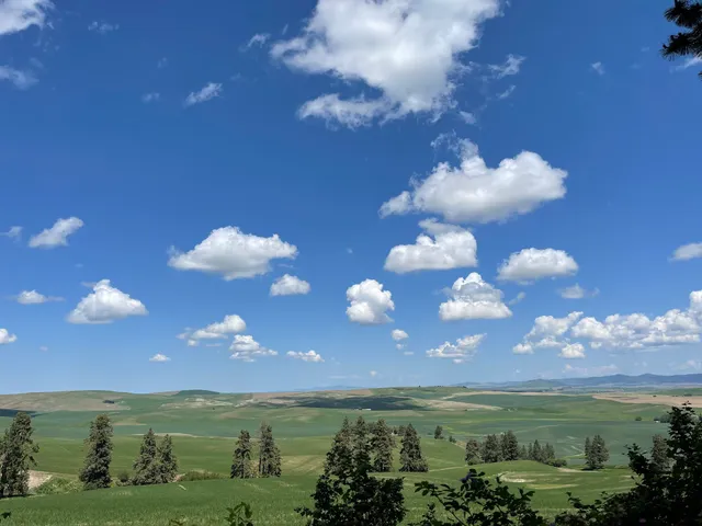 Kamiak Butte Picnic and Playground Area