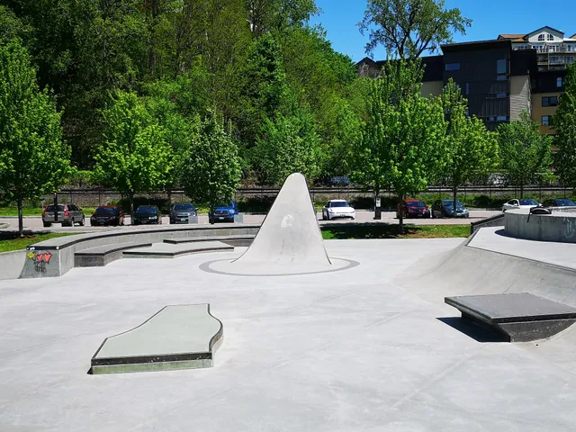 Andy A_Dog Williams Skatepark
