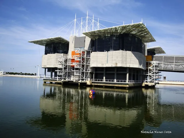 Discovery Apartment Expo