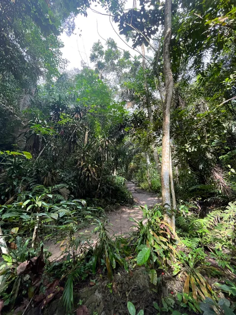 Bukit Gasing Trail