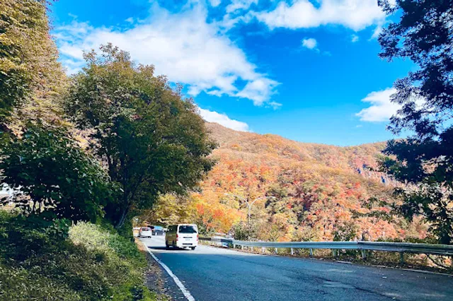 Nikko Iroha Slope InitialD Corner 33