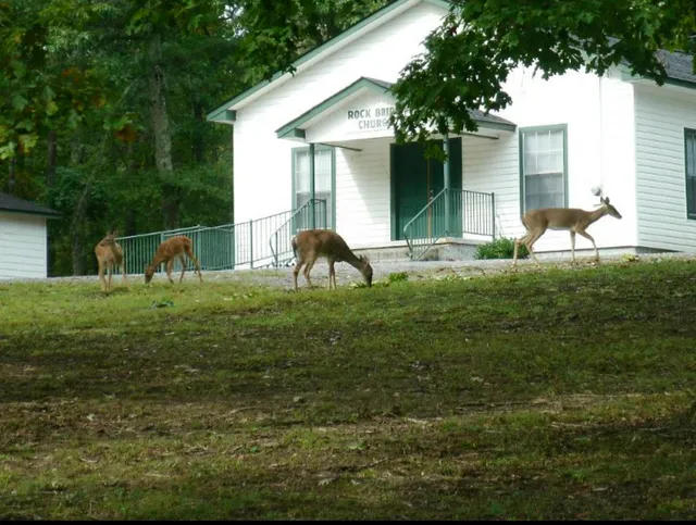 Rock Bridge Holiness Church