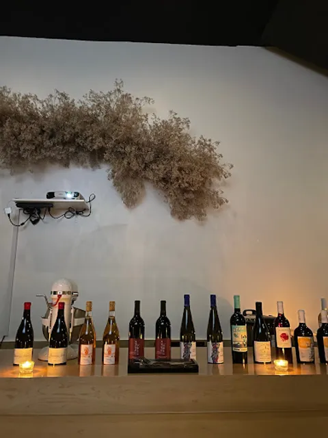 jilli modern sool jib