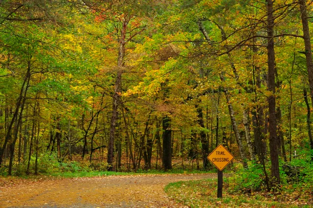 Wild River State Park