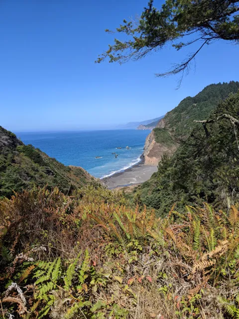 Lost Coast Trail