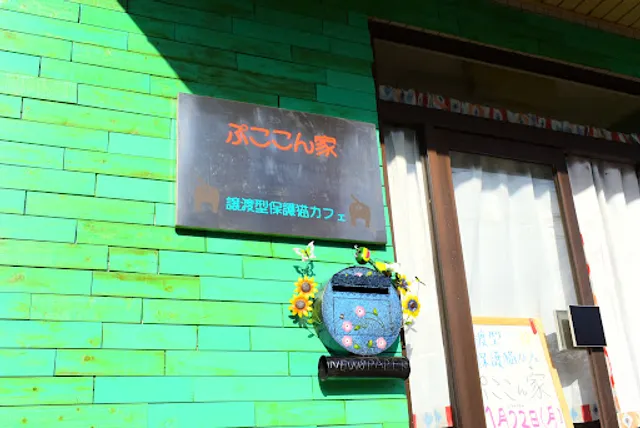 譲渡型保護猫カフェ「ぷここん家」