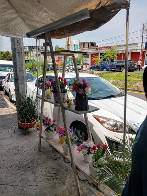 Caldos De Pollo Teresita