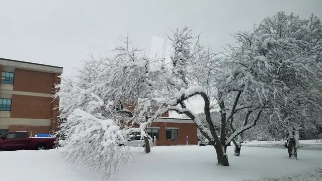 Northeastern Vermont Regional Hospital