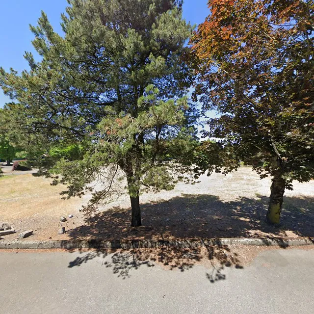 Bobablastic - Delta Park