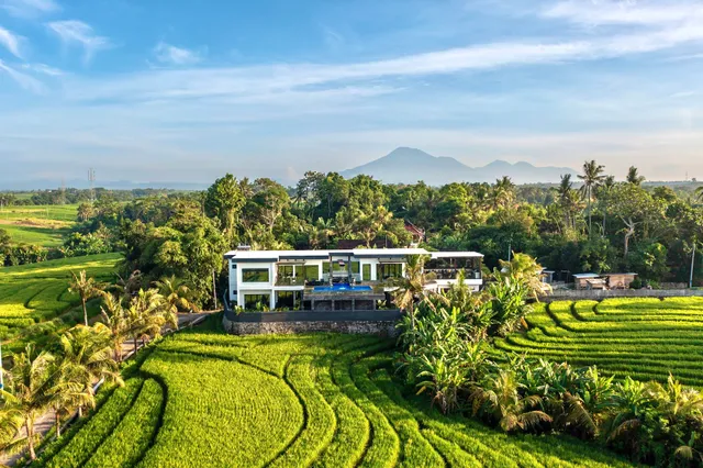 Tippo's Bali Villas