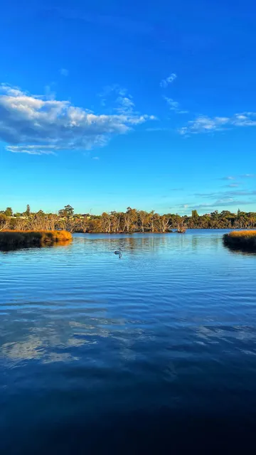 Kuljak Island (Black Swan Island)