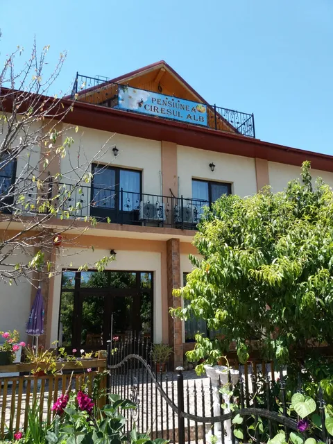 Pensiunea Ciresul Alb