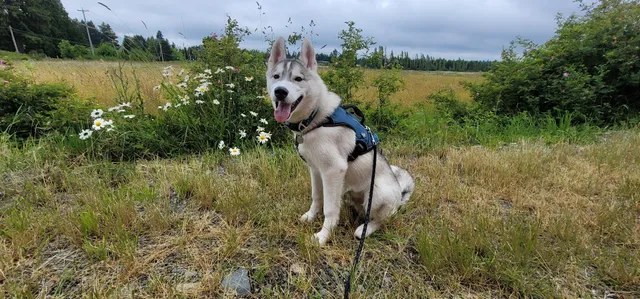 Cedar Community Hall