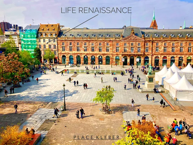Life Renaissance