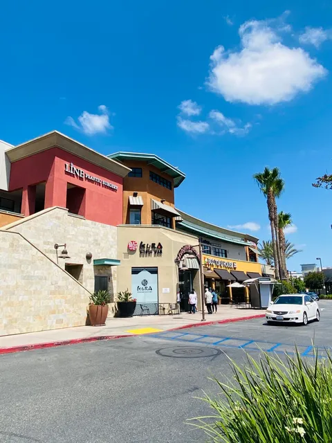 Line Plastic Surgery Irvine