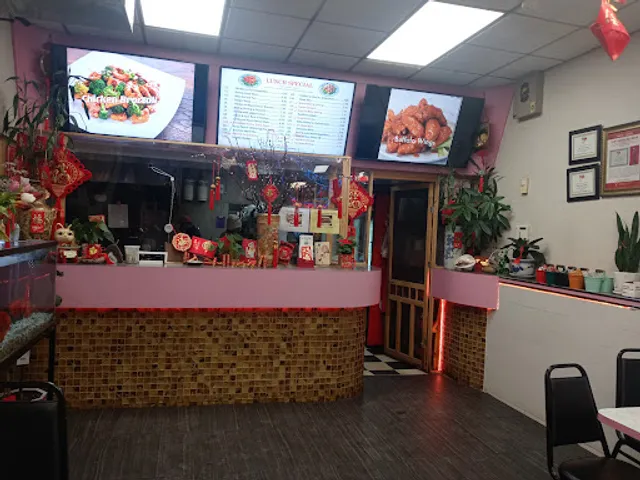 Top 1 China Express 729