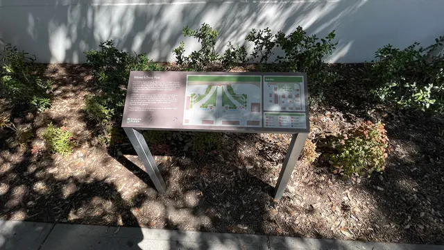 "X" at site of JFK Assassination