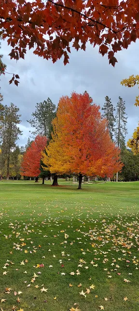 KDRV TV NewsWatch 12