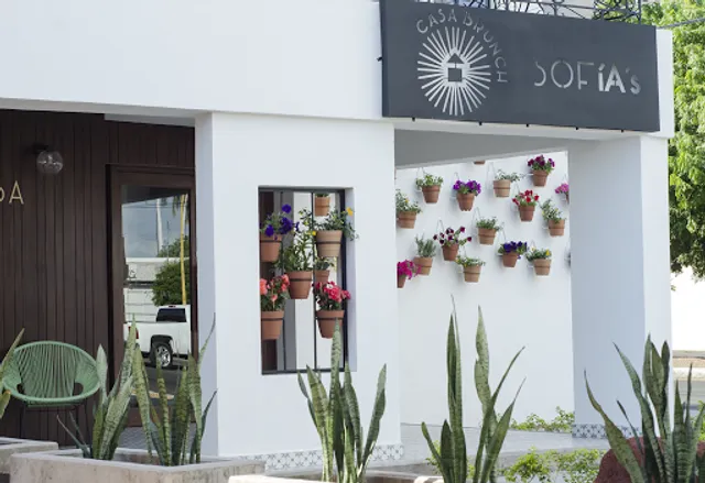 Sofía's Casa Brunch