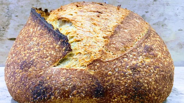 Massa Mãe - Pão Artesanal