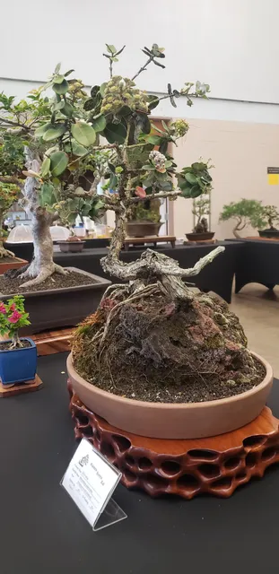 Waimea Park & Community Center