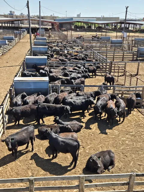 Oklahoma National Stockyards
