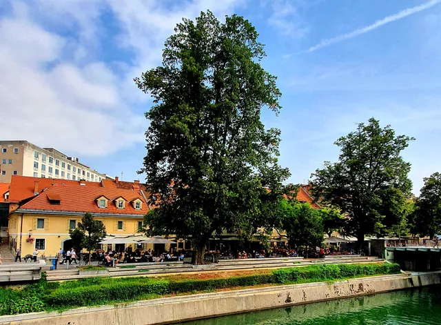PETKOVŠEK Bar, Rooms & Apartments