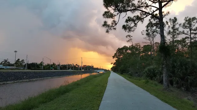 ALLIGATOR FLAG PRESERVE
