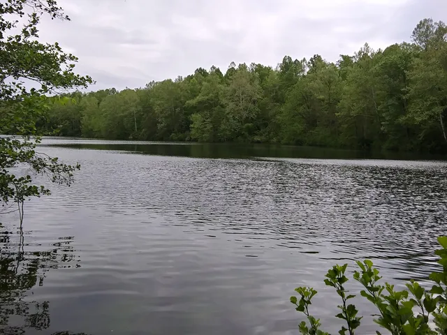 Ohio Power Company Pond 9515-001