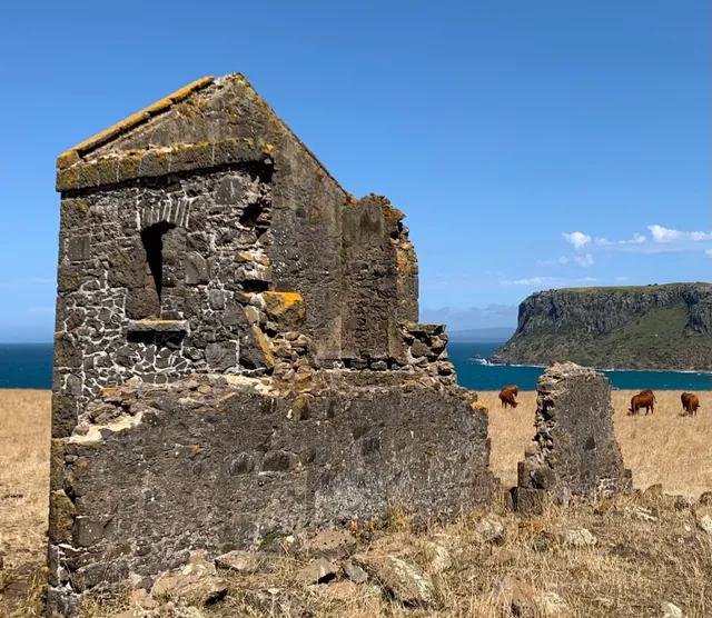 Anthony's at Highfield