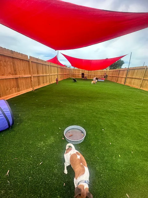 My furry pet's staycation LLC