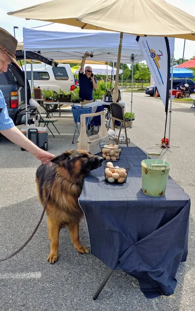 Waldorf Farmers' Market