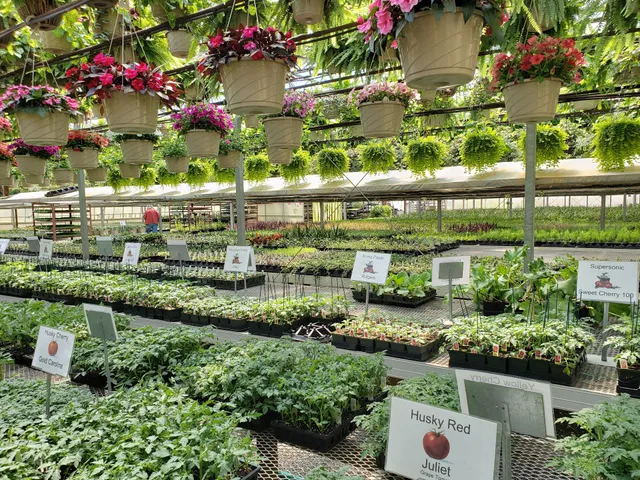 Kemmer's Greenhouse