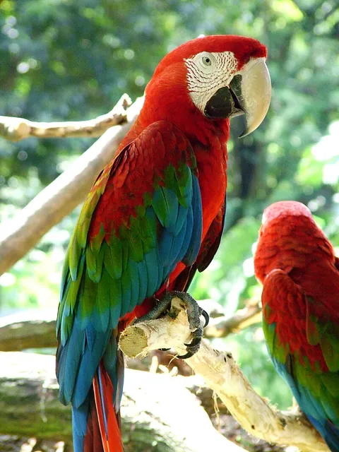 Zoológico de Mayagüez